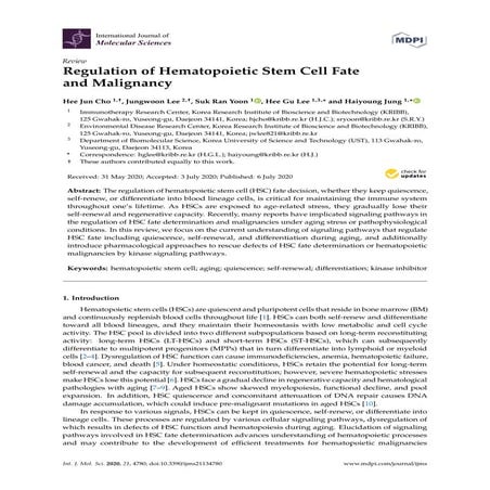Regulation of Hematopoietic Stem Cell Fate and Malignancy During Aging ...