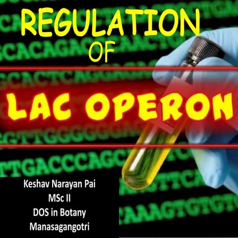 Regulation of lac operon positive nd negative