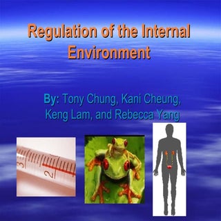 Regulation+Of+The+ Internal+ Enviro...