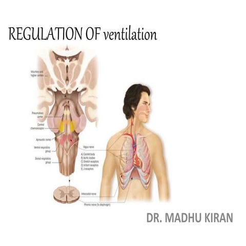 Regulation of ventilation Dr. MADHUKIRAN, MD.PULMONOLOGY