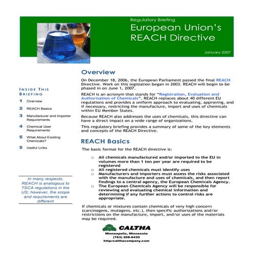 Regulatory Briefing | Overview of REACH Directive | Caltha LLP