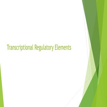 Regulatory elements of transcription.pptx
