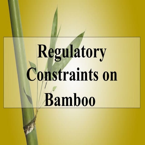 Regulatory Constraints on Bamboo