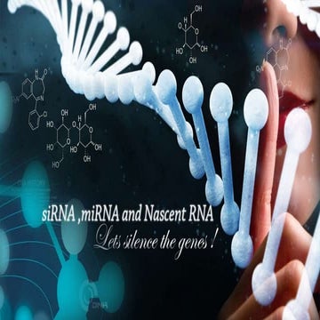 Regulatory RNA