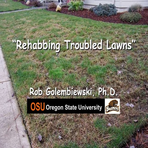 Rehabbing troubled lawns 9 23-10