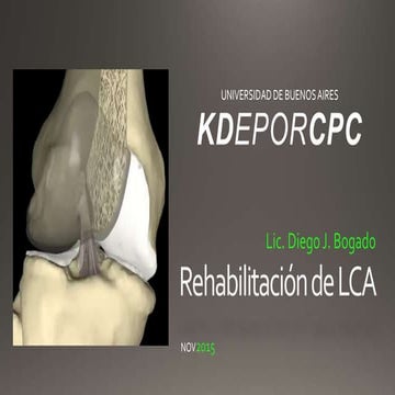 Rehabilitación de LCA