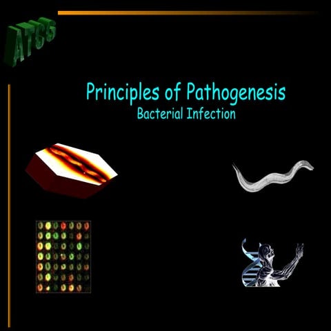 [Micro] pathogenesis