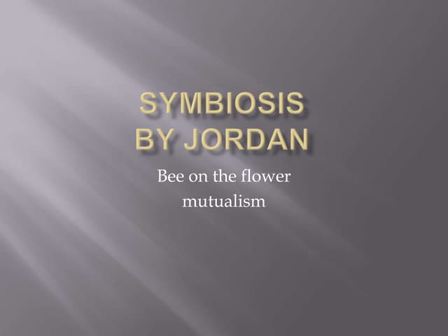 Reidmodule 2 lesson 3 jordan 3.4.11