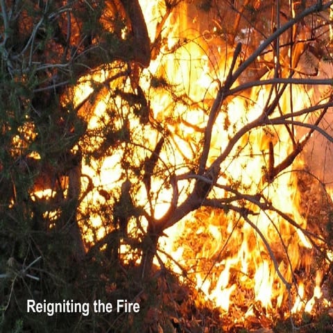 Reignite The Fire   Controversies In Social Marketing