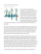 Reinitiation of peptide and protein...