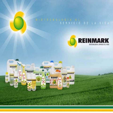 Reinmark linea higiene industrial