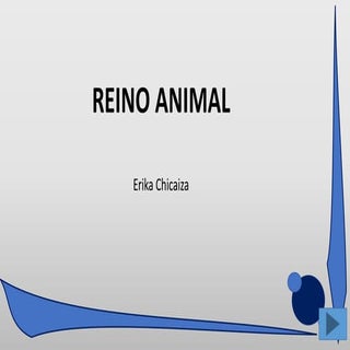 El reino animal y sus clasificación 