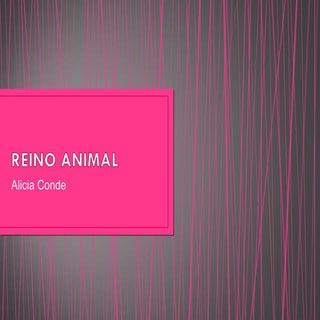 Reino animal