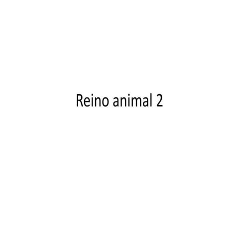 Reino animal 2