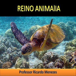 Reino animalia - características ge...