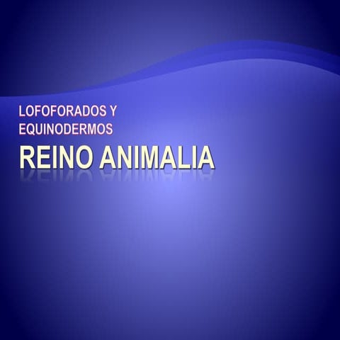 loloforados y equinodermos