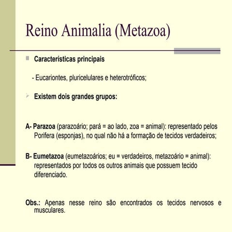 Reino animalia (metazoa) | PPT