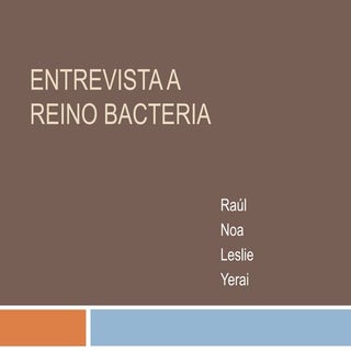 Reino bacterias