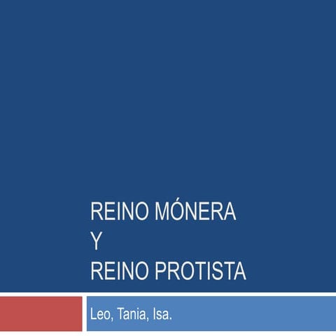 Reino mónera y reino protista biologia