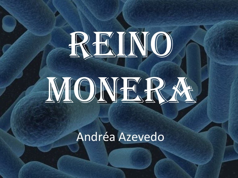 Reino monera