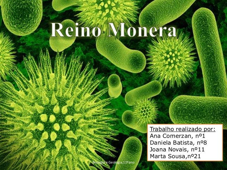 Reino Monera Aspectos Relacionados A Atividade Econômica