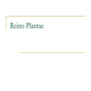 Reino plantae