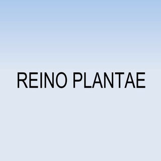 Reino plantae