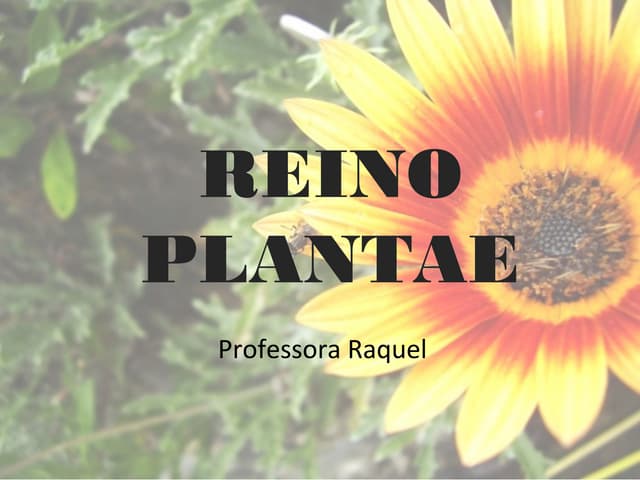 Reino plantae primeira aula