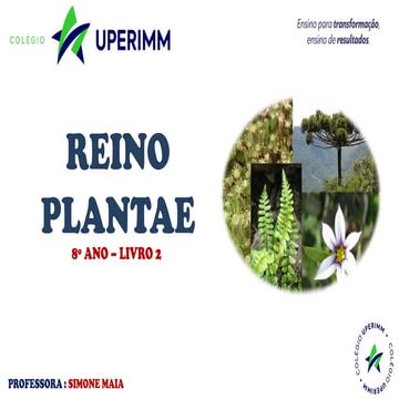 REINO PLANTAE - CARACTERISTICAS  8 ANO_23.pdf