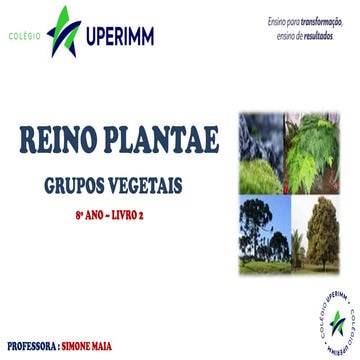 REINO PLANTAE_GRUPOS_8 ANO_23.pdf