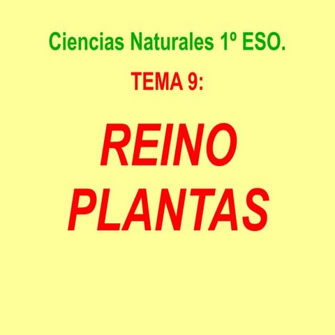 1ºESO: Reino Plantas