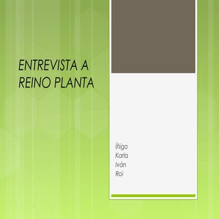 Reino plantas