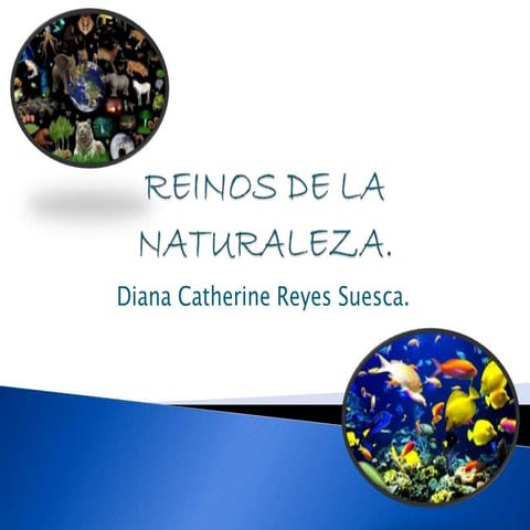 Reinos de la naturaleza | PPTX