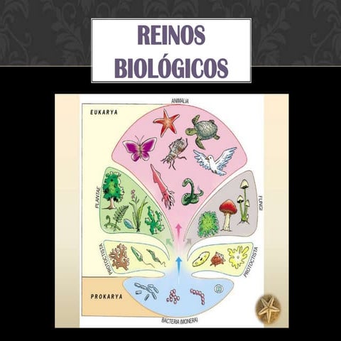 Reinos biológicos