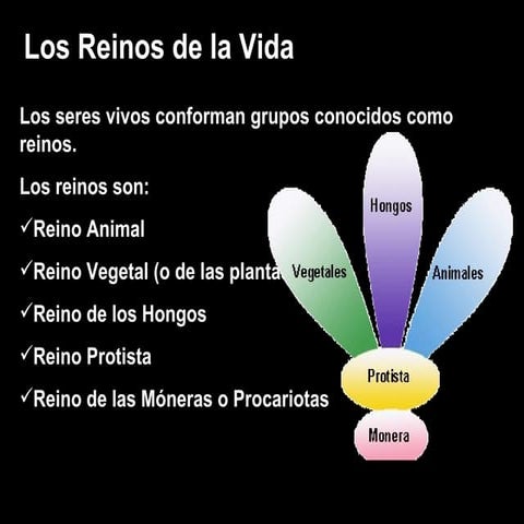 Reinos de la naturaleza