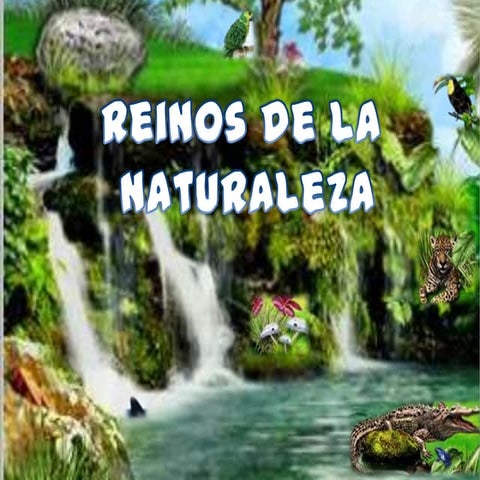 Reinos de la naturaleza | PPTX