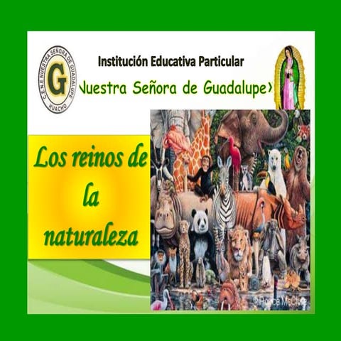 Reinos de la naturaleza | PPTX