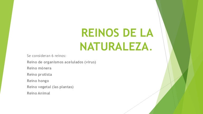 los virus son del reino los virus son del reino