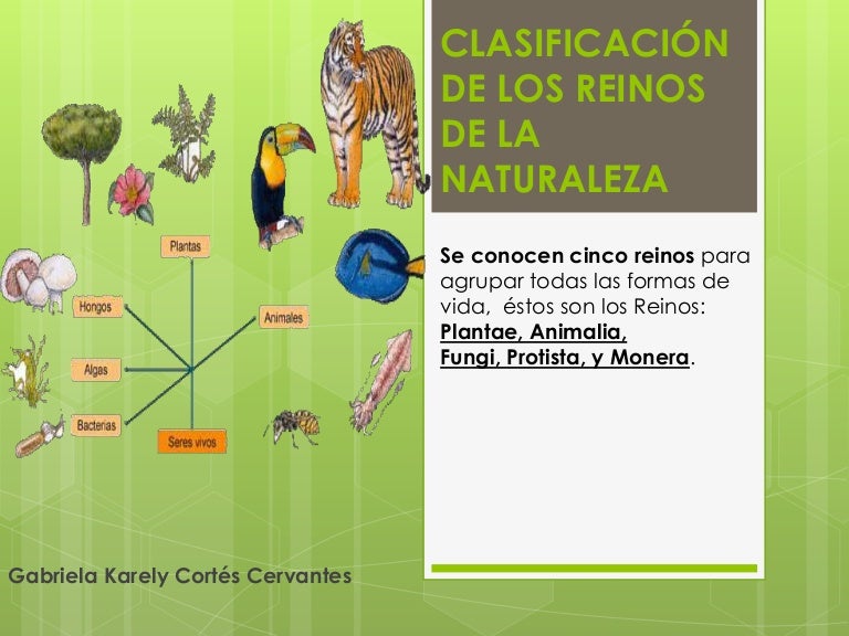 Reinos de la naturaleza gaby