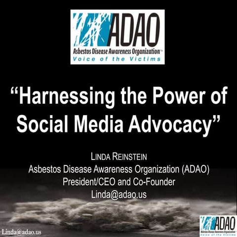 Reinstein:  “Harnessing the Power of  Social Media Advocacy” (Brazil 2016)