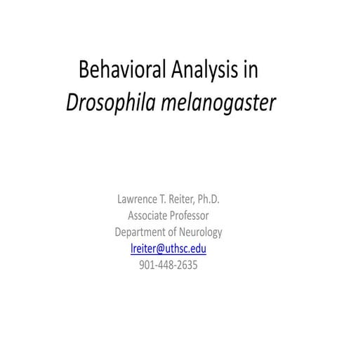 Reiter lecture 11.11.14