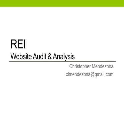 Rei website audit & analysis