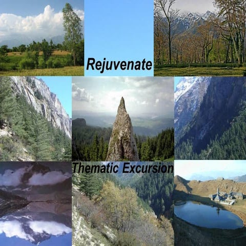 Rejuvenate-FROM BUSYURBAN LIFE TO YOUR OWN SPACEPACE