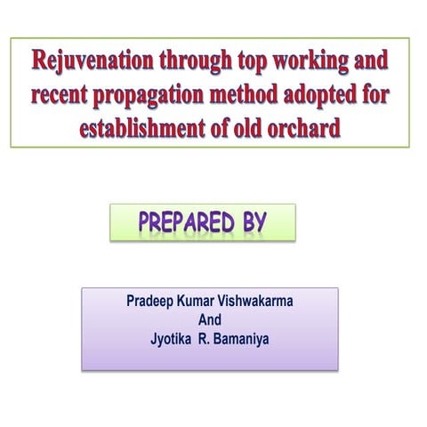 rejuvenation-160812184650.pdfrejuvunation