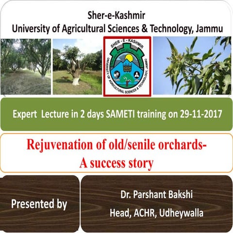 Rejuvenation of Old/senile orchards-A success story