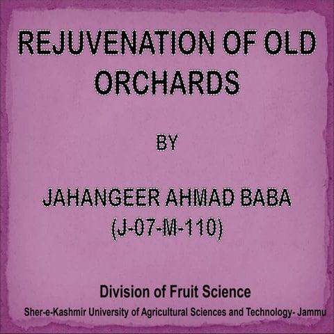 Rejuvination of old orchards