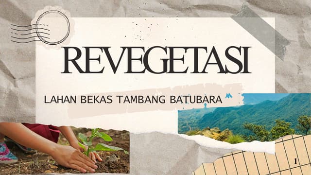Menghidupkan Kembali Lahan Bekas Tambang: Tips Menjaga Produktivitas