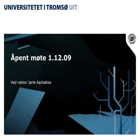 Rektors oppsummering 011209