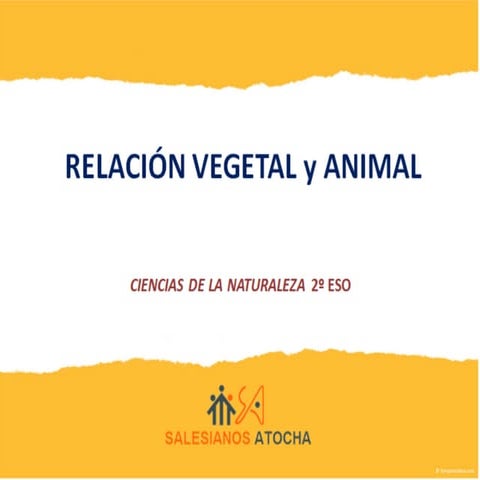 Relación vegetal y animal. imágenes