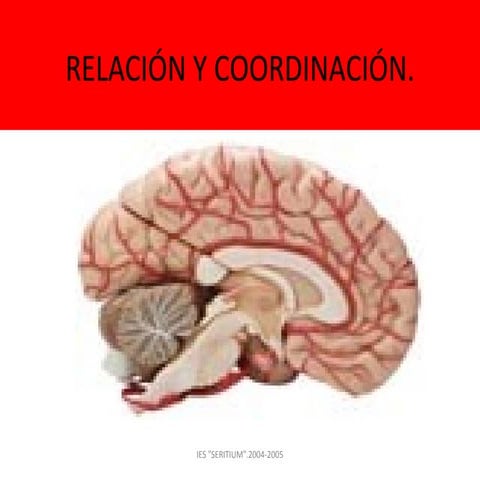 R E L A C IÓ N  Y  C O O R D I N A C IÓ N (97  2003)